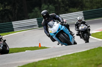 Middle Group Blue Bikes